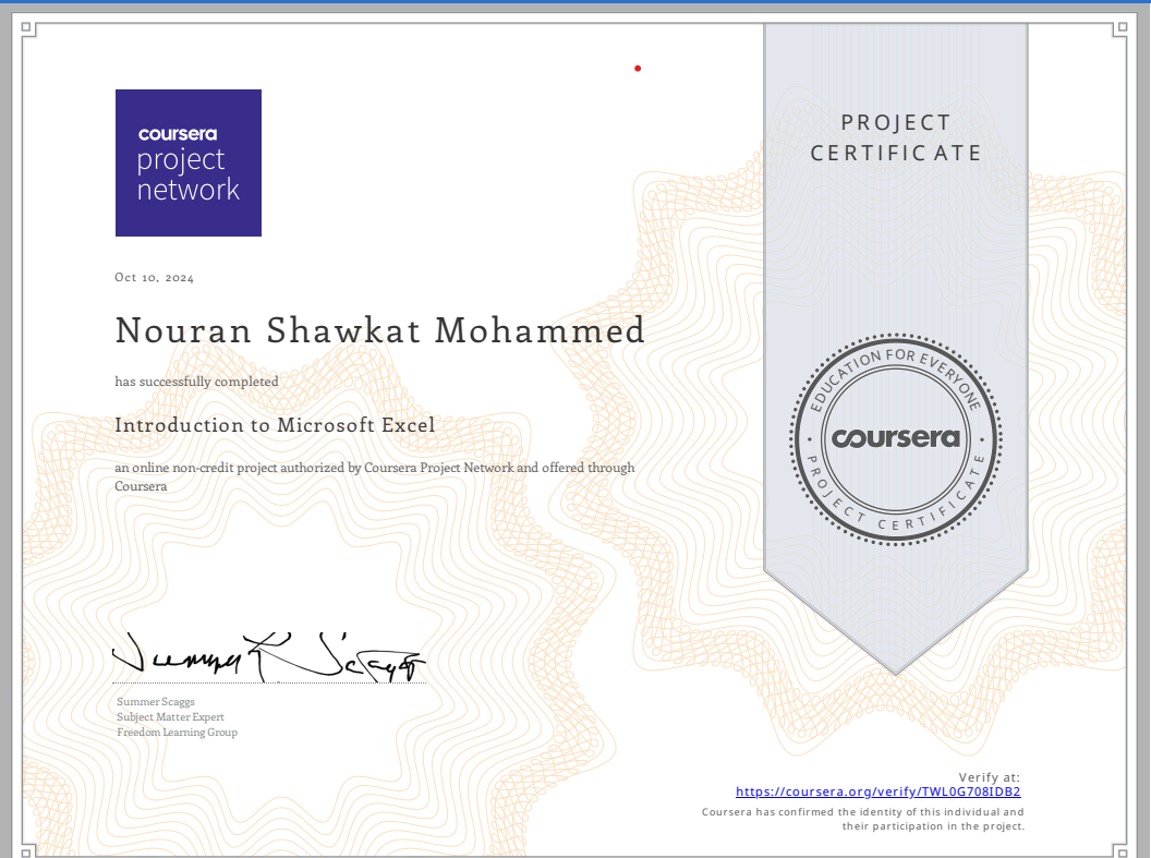 Coursera Intro to Excel